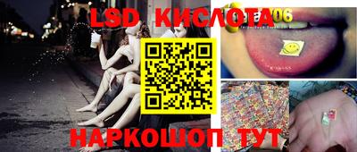 эйфоретик Донской