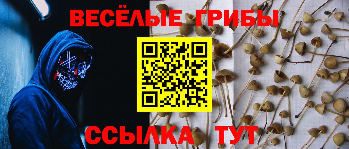 Псилоцибиновые грибы GOLDEN TEACHER Лесосибирск