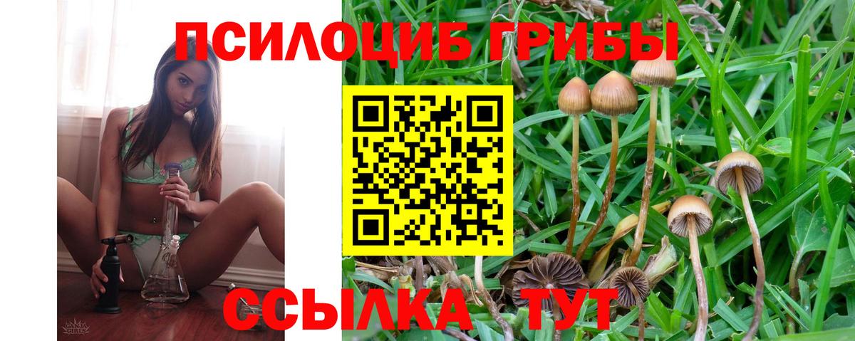 Галлюциногенные грибы прущие грибы  Галлюциногенные грибы Psilocybe  Вход с VPN  Лесосибирск 